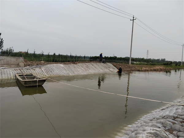 沟渠土工模袋护坡1